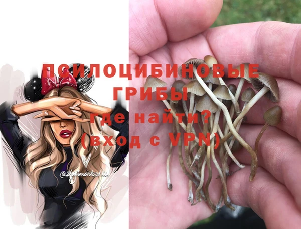 экстази Зерноград