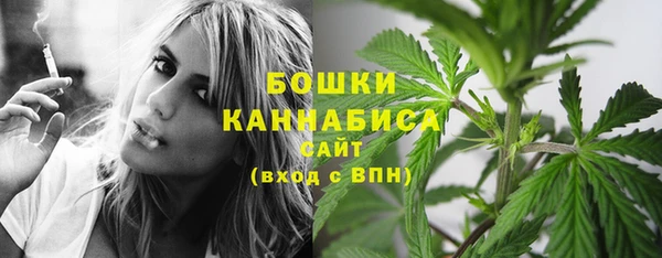 PSILOCYBIN Абдулино